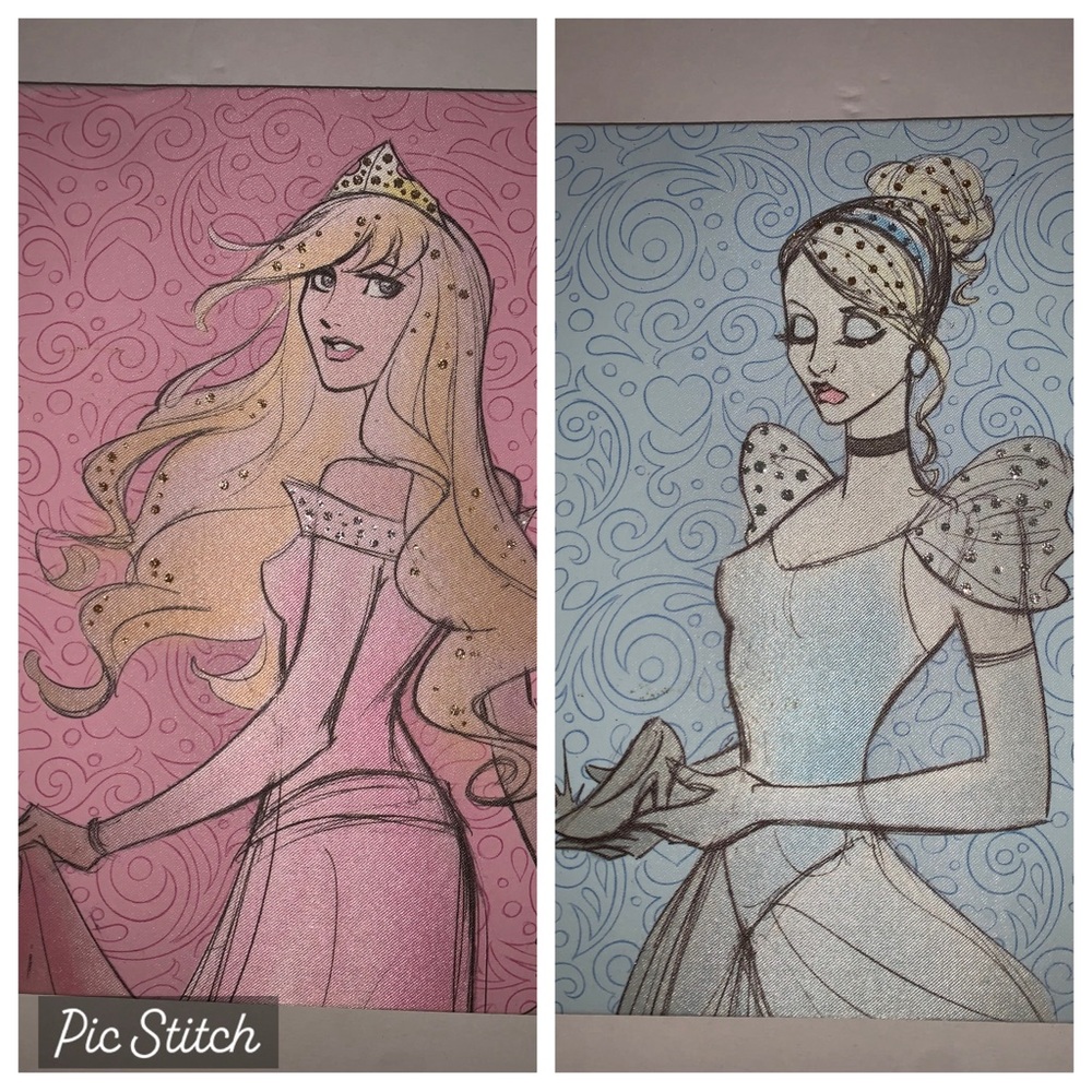 *NEW* Disney Diary • Cinderella & Sleeping Beauty Mixed Two-Sided Journal (NWT)